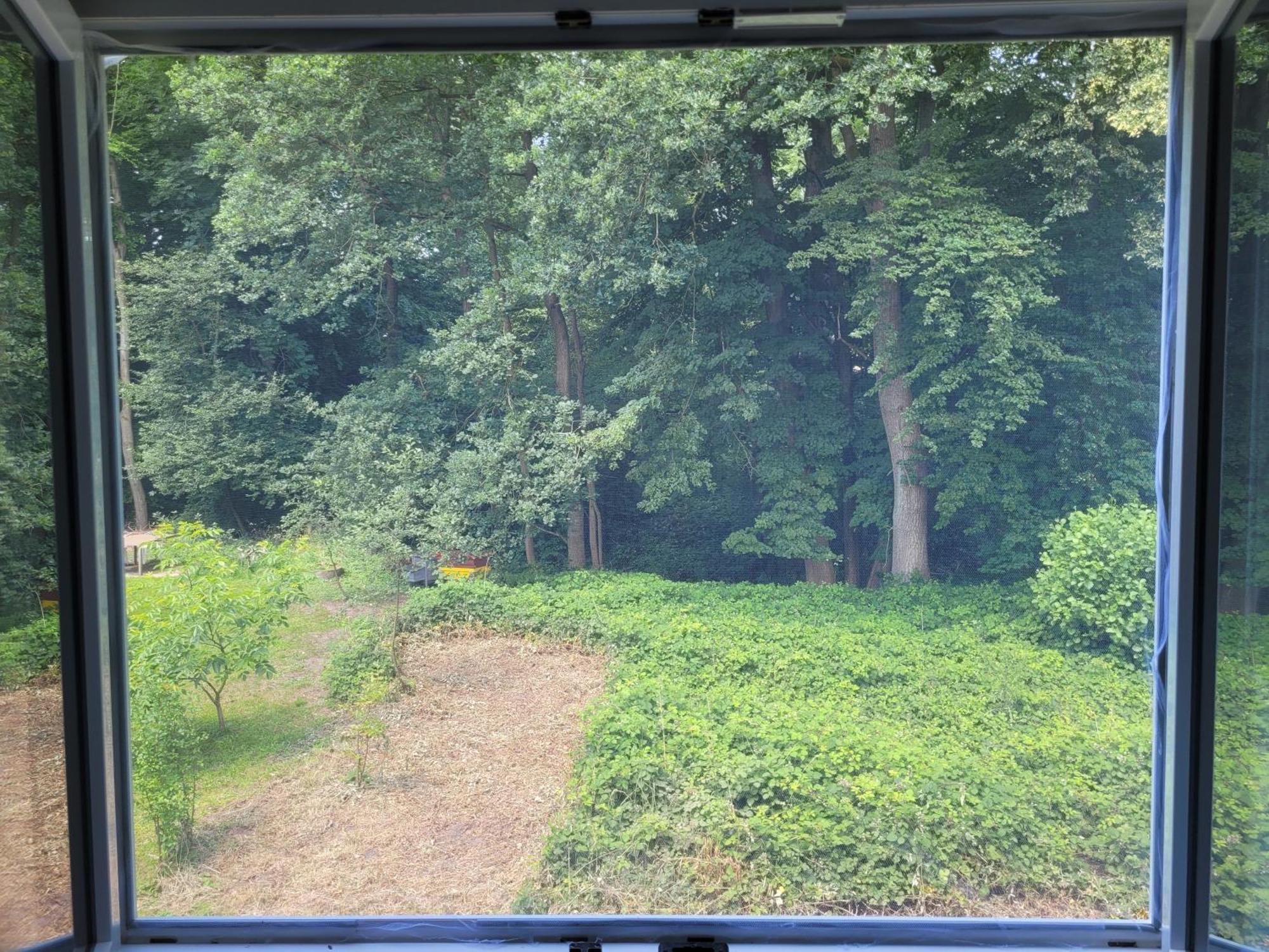 Idylischer Bachplatz Oerlinghausen Extérieur photo